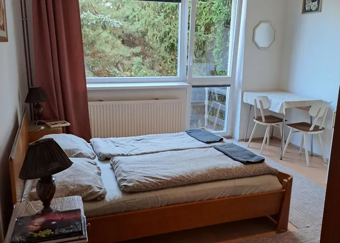 Apartman S Terasou